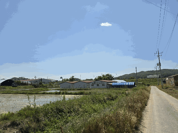 충청북도 음성군 생극면 도신리 180-7 외 2필지 상가주택 경매 사진 18