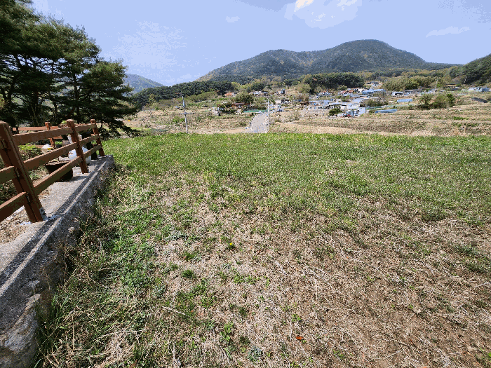 울산광역시 울주군 두서면 전읍리 1078-1 외 1필지 답 경매 사진 4