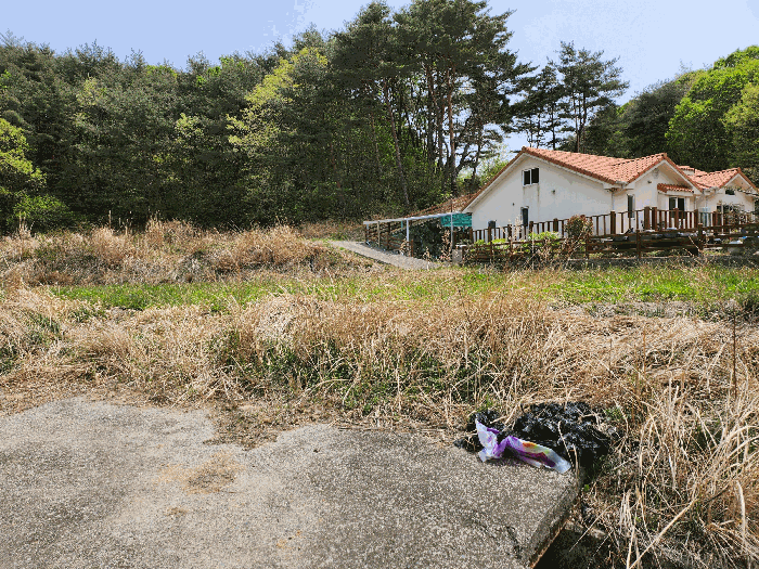 울산광역시 울주군 두서면 전읍리 1078-1 외 1필지 답 경매 사진 8