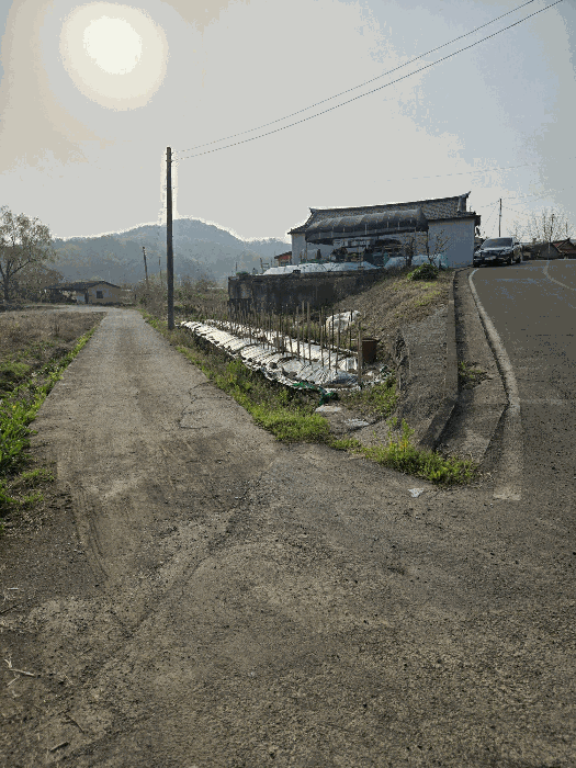 경상남도 함안군 대산면 평림리 683 전 경매 사진 3