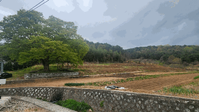 경상남도 진주시 지수면 금곡리 429 전 경매 사진 3