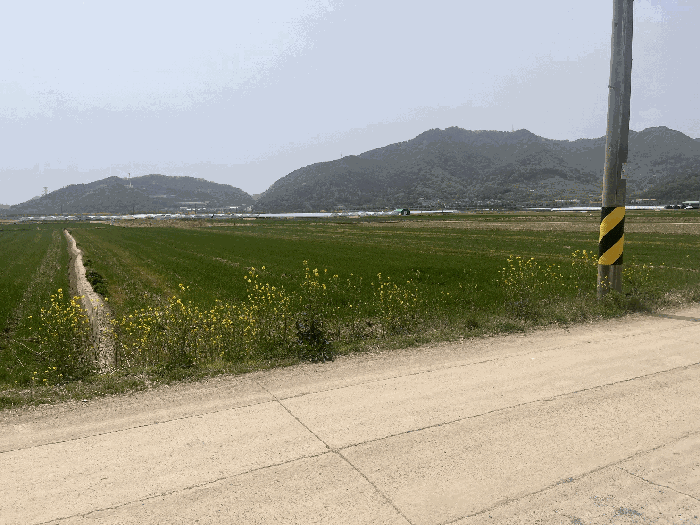 경상남도 밀양시 상남면 연금리 2216 답 경매 사진 17