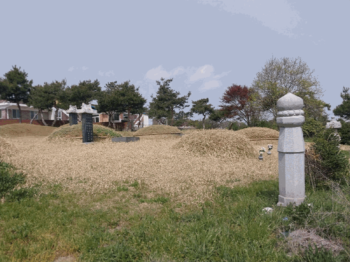 전북특별자치도 고창군 대산면 중산리 614-1 전 경매 사진 14