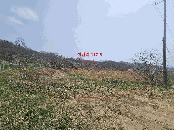 충청남도 공주시 유구읍 석남리 117-5 답 경매 사진 16