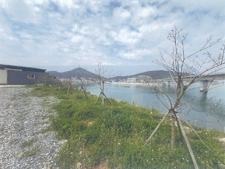 충청남도 태안군 근흥면 정죽리 1305-3 외 1필지 대지 경매 사진 11