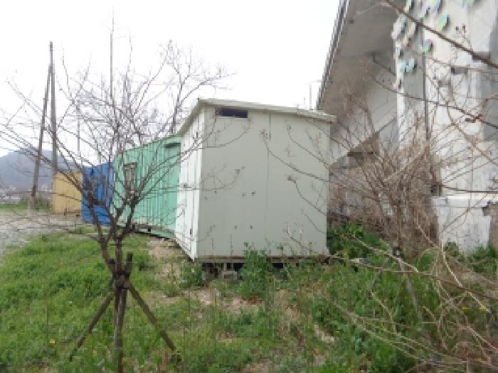 충청남도 태안군 근흥면 정죽리 1305-3 외 1필지 대지 경매 사진 13