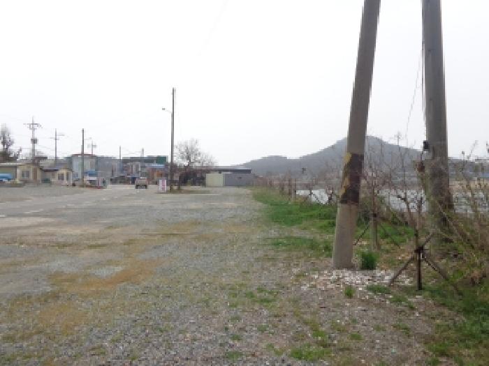 충청남도 태안군 근흥면 정죽리 1305-3 외 1필지 대지 경매 사진 18