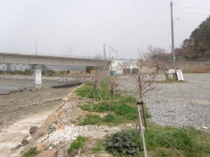 충청남도 태안군 근흥면 정죽리 1305-3 외 1필지 대지 경매 사진 19