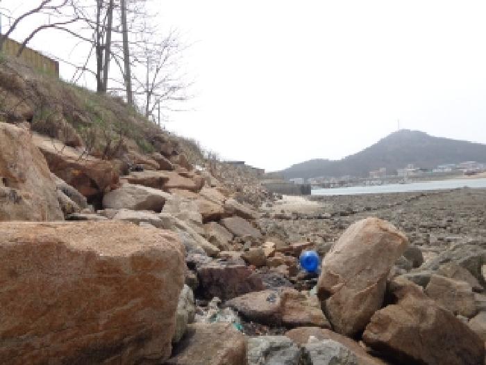 충청남도 태안군 근흥면 정죽리 1305-3 외 1필지 대지 경매 사진 22