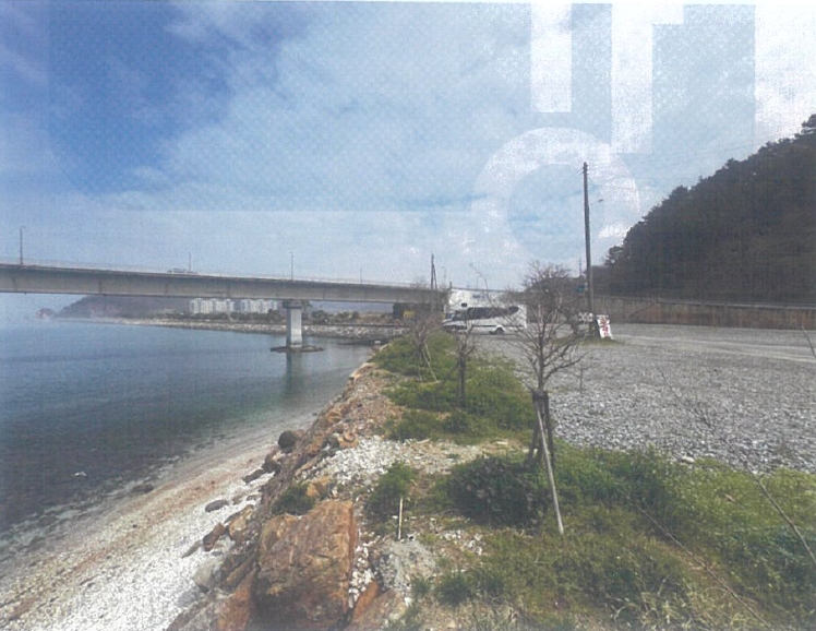 충청남도 태안군 근흥면 정죽리 1305-3 외 1필지 대지 경매 사진 6