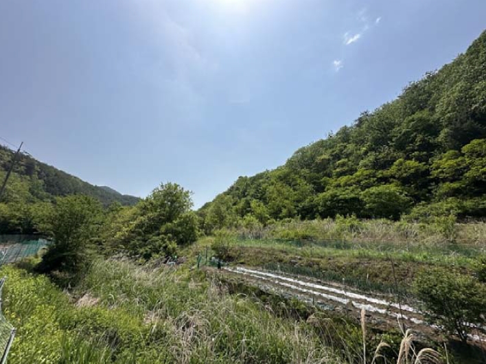 경상북도 영덕군 달산면 흥기리 278-2 전 경매 사진 15