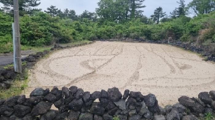 제주특별자치도 제주시 구좌읍 월정리 산29-5 외 4필지 도로 경매 사진 5