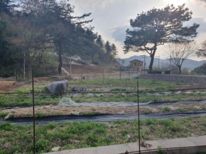 경기도 가평군 조종면 대보리 421-4 외 3필지 단독주택 경매 사진 10