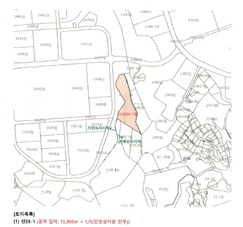 충청북도 제천시 봉양읍 장평리 산25-1 임야 경매 사진 23