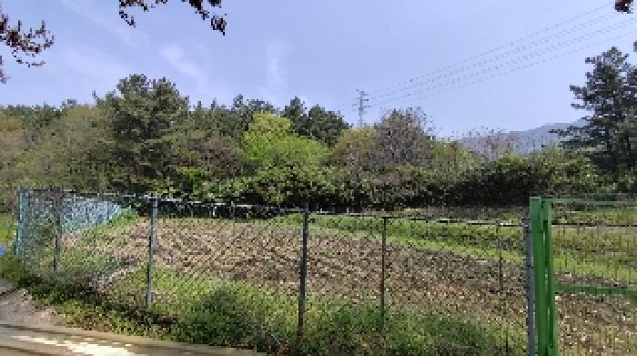 충청남도 보령시 명천동 산5-12 임야 경매 사진 2