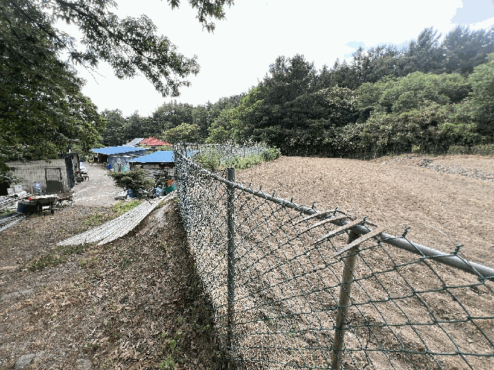 충청남도 보령시 명천동 산5-12 임야 경매 사진 11