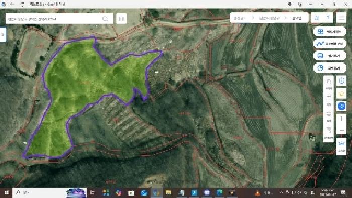 충청남도 천안시 동남구 광덕면 신덕리 226-1 외 2필지 답 경매 사진 17
