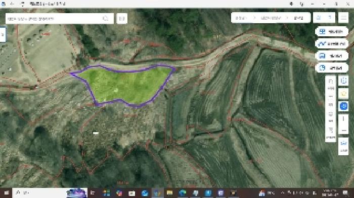 충청남도 천안시 동남구 광덕면 신덕리 226-1 외 2필지 답 경매 사진 19