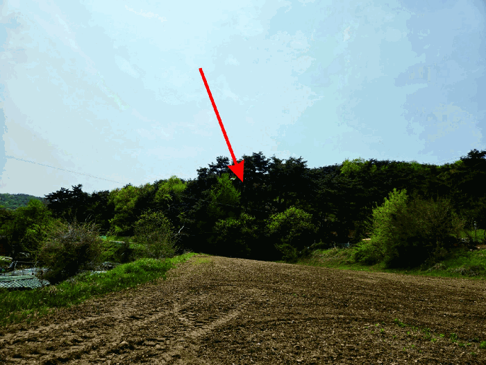 충청남도 천안시 동남구 광덕면 신덕리 226-1 외 2필지 답 경매 사진 21