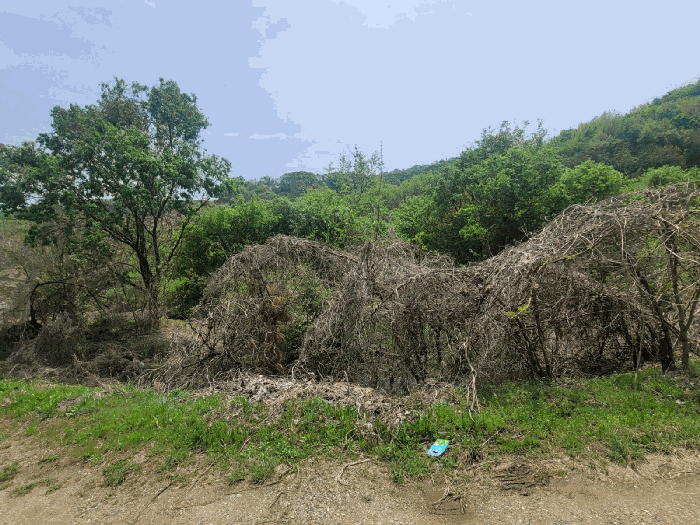 충청남도 천안시 동남구 광덕면 신덕리 226-1 외 2필지 답 경매 사진 25