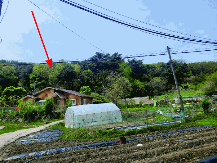 충청남도 천안시 동남구 광덕면 신덕리 226-1 외 2필지 답 경매 사진 26