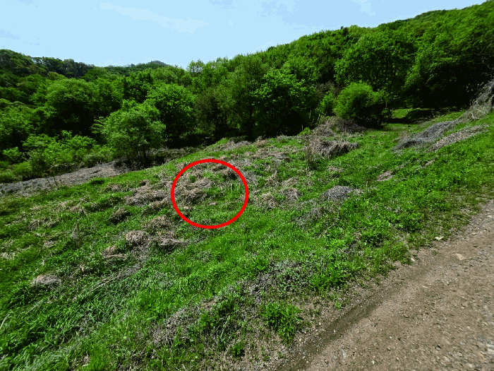 충청남도 천안시 동남구 광덕면 신덕리 226-1 외 2필지 답 경매 사진 28