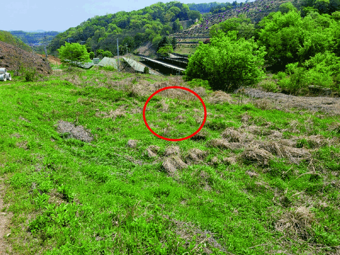 충청남도 천안시 동남구 광덕면 신덕리 226-1 외 2필지 답 경매 사진 30