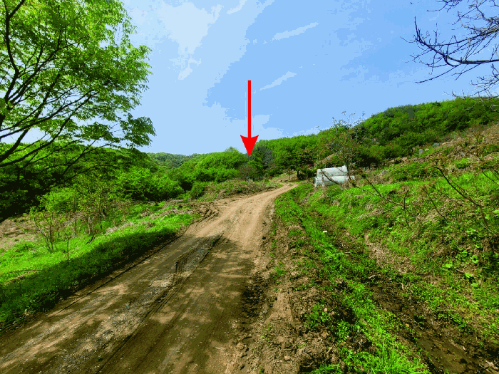 충청남도 천안시 동남구 광덕면 신덕리 226-1 외 2필지 답 경매 사진 33