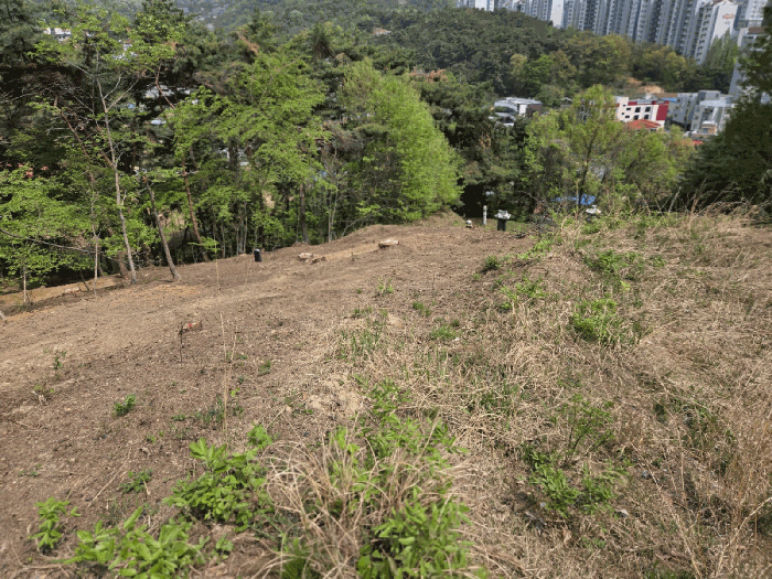 충청남도 천안시 동남구 광덕면 신덕리 226-1 외 2필지 답 경매 사진 34