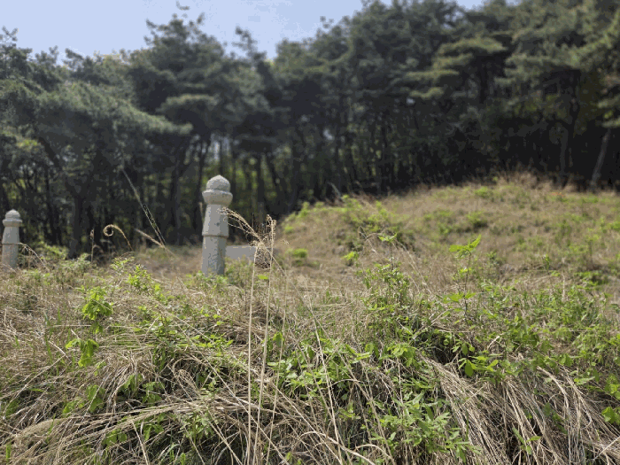 충청남도 천안시 동남구 광덕면 신덕리 226-1 외 2필지 답 경매 사진 44