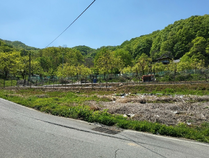 경상북도 김천시 부곡동 1226 단독주택 경매 사진 6