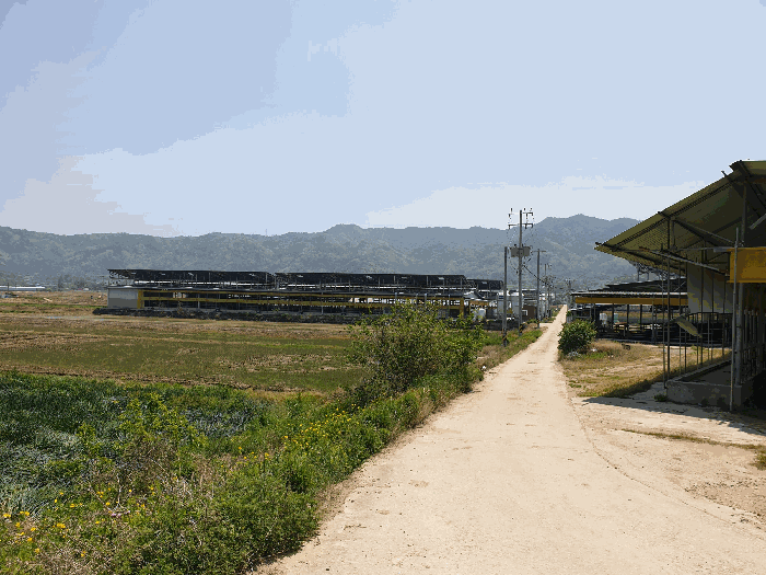 경상북도 구미시 고아읍 외예리 52 외 2필지 동물및식물관련시설 경매 사진 44