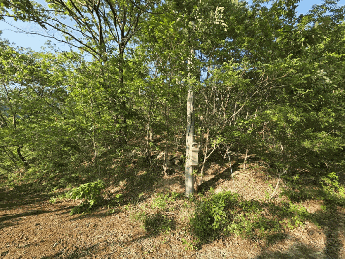 경상남도 양산시 원동면 서룡리 산120-8 외 4필지 임야 경매 사진 11