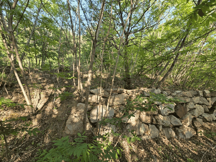 경상남도 양산시 원동면 서룡리 산120-8 외 4필지 임야 경매 사진 8