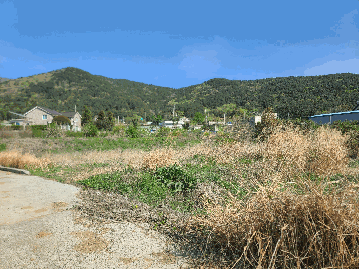 경상남도 거제시 거제면 명진리 469 답 경매 사진 7