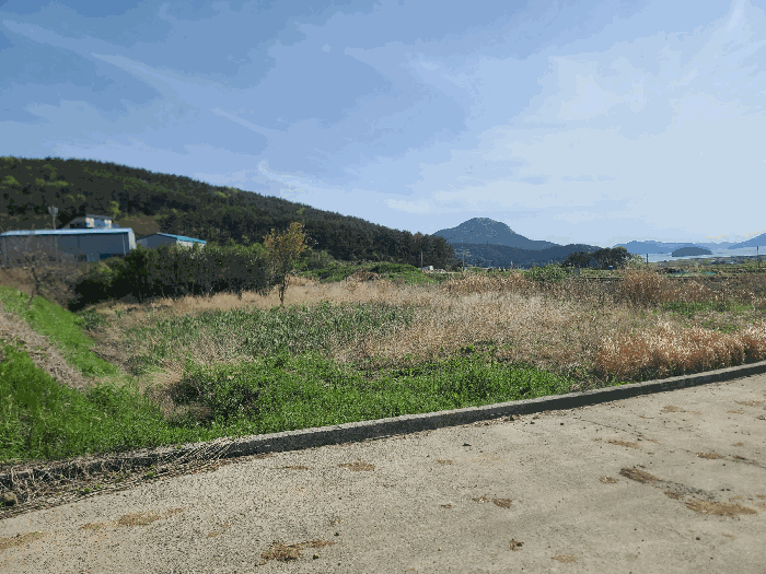 경상남도 거제시 거제면 명진리 469 답 경매 사진 8