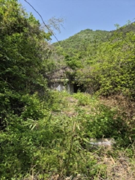 전라남도 화순군 화순읍 벽라리 375-1 대지 경매 사진 2