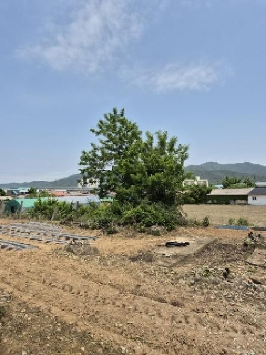 전라남도 나주시 다시면 동곡리 34 대지 경매 사진 14