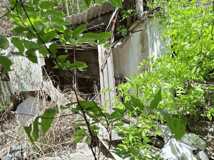 전라남도 장흥군 용산면 녹원리 414-8 외 1필지 동물및식물관련시설 경매 사진 19