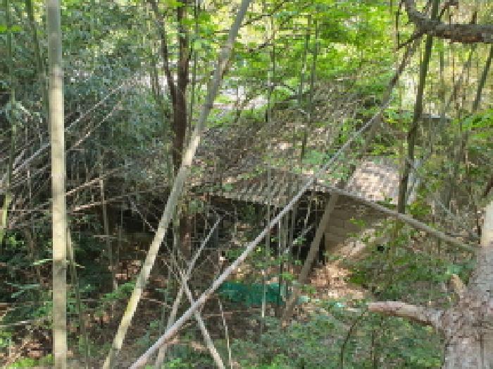 전라남도 장흥군 용산면 녹원리 414-8 외 1필지 동물및식물관련시설 경매 사진 5