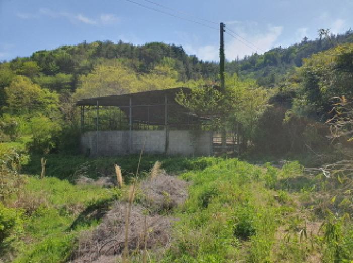 전라남도 장흥군 용산면 녹원리 414-8 외 1필지 동물및식물관련시설 경매 사진 6