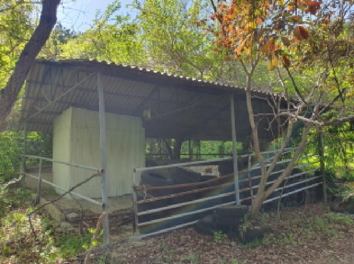 전라남도 장흥군 용산면 녹원리 414-8 외 1필지 동물및식물관련시설 경매 사진 7