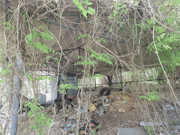 전라남도 장흥군 용산면 녹원리 414-8 외 1필지 동물및식물관련시설 경매 사진 10