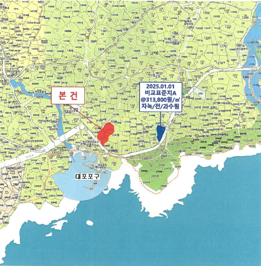 제주특별자치도 서귀포시 대포동 2178 외 3필지 전 경매 사진 17