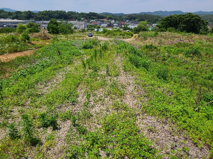 경상북도 성주군 선남면 소학리 404 외 3필지 전 경매 사진 11