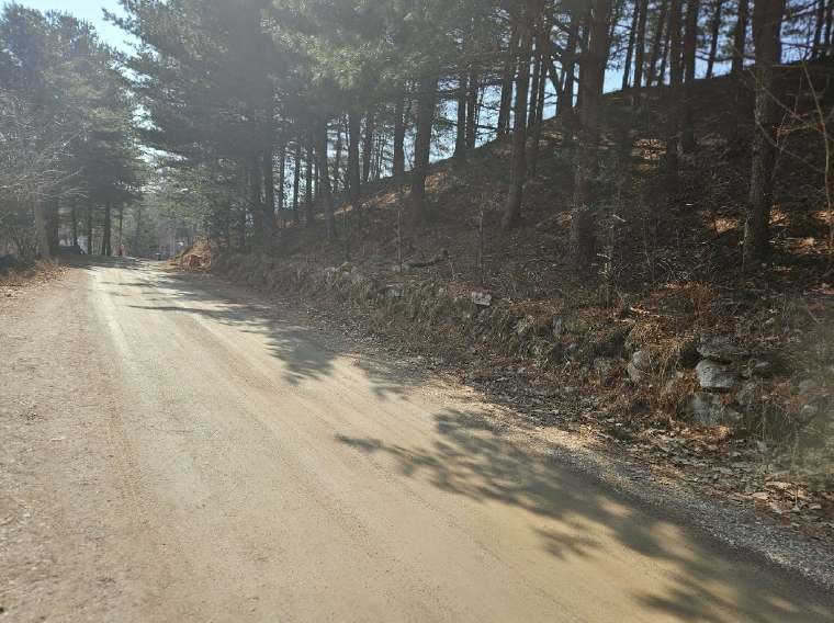 경기도 포천시 영북면 산정리 291-2 외 1필지 답 경매 사진 1