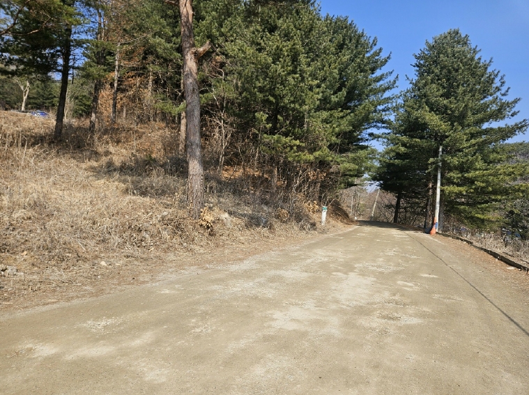 경기도 포천시 영북면 산정리 291-2 외 1필지 답 경매 사진 2