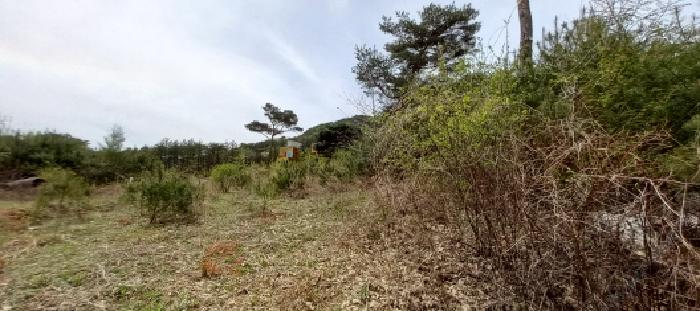 경기도 포천시 영북면 산정리 291-2 외 1필지 답 경매 사진 12