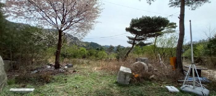 경기도 포천시 영북면 산정리 291-2 외 1필지 답 경매 사진 13