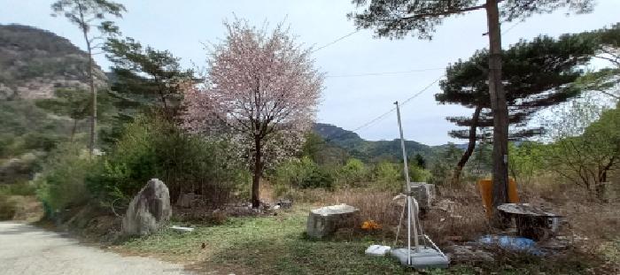 경기도 포천시 영북면 산정리 291-2 외 1필지 답 경매 사진 15